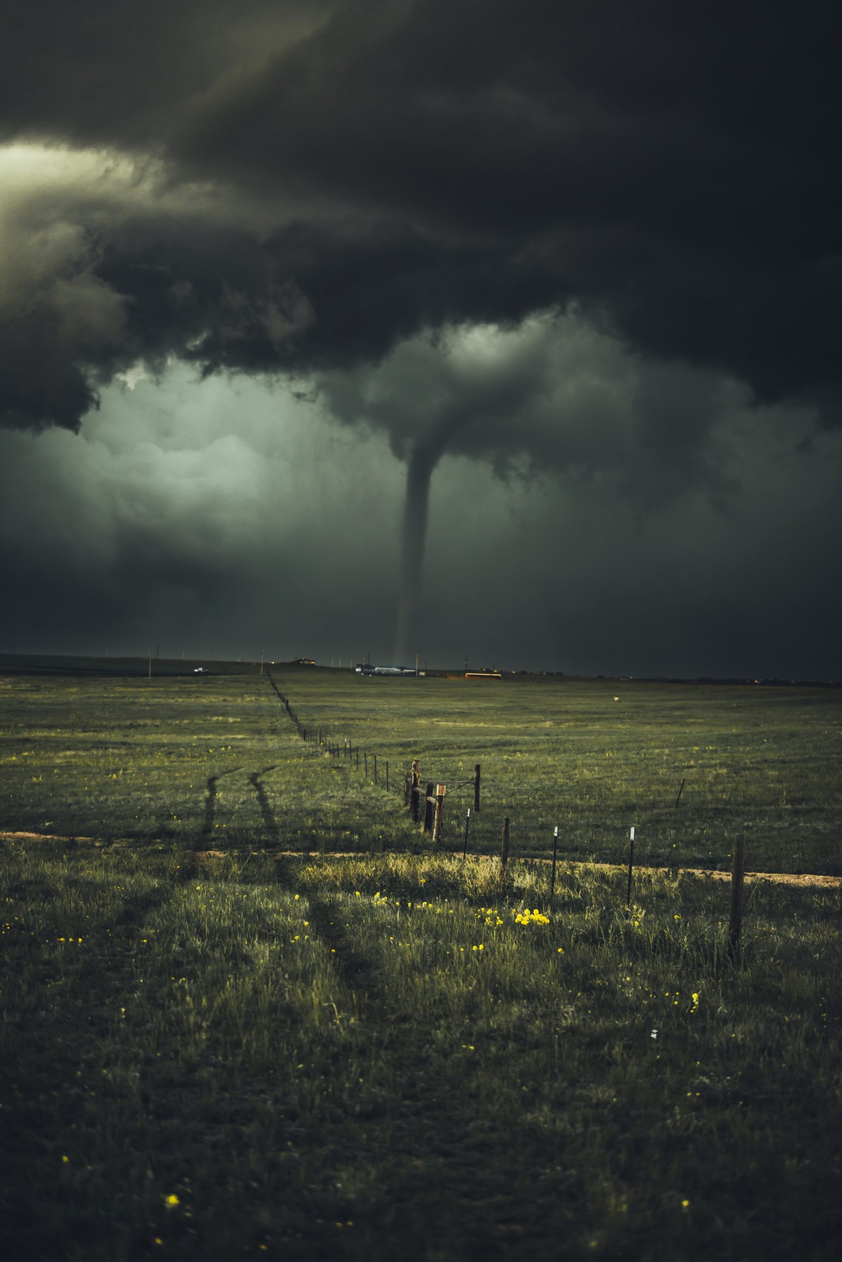 the tornado that spawned a multi billion dollar business